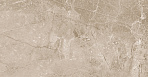 Obsidian Taupe Керамогранит 60х60 Матовый_9