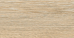 Oak Керамогранит янтарный OK 0054 15х60_5