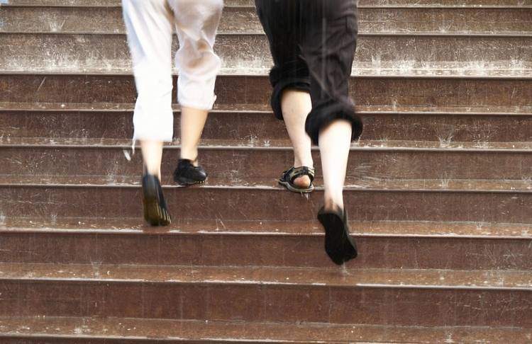 Cuero Dch. Угол правый ZPDG3172N1 19,2x38,7x7