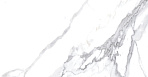Calacatta Splendid Silver Керамогранит белый 60х60 Полированный_6