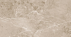 Obsidian Taupe Керамогранит 60х60 Матовый_1