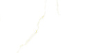 Golden White Statuario Керамогранит 60х60 Полированный_2