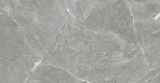 Stone Cool Grey Керамогранит серый 60х60 Матовый_1