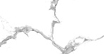 Statuario Crown Керамогранит белый 60x120 сатинированный_2