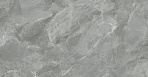 Regnum Grigio Керамогранит серый CR6012G0411R 59,5х119,1 матовый_3