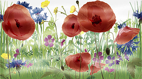 Dec Glen Panno C КПН16GlenC 25х45