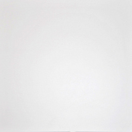 Domino Керамогранит Белый G-100/MR/60x60