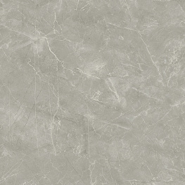 Wolf Grey Керамогранит 80х80 Сатинированный